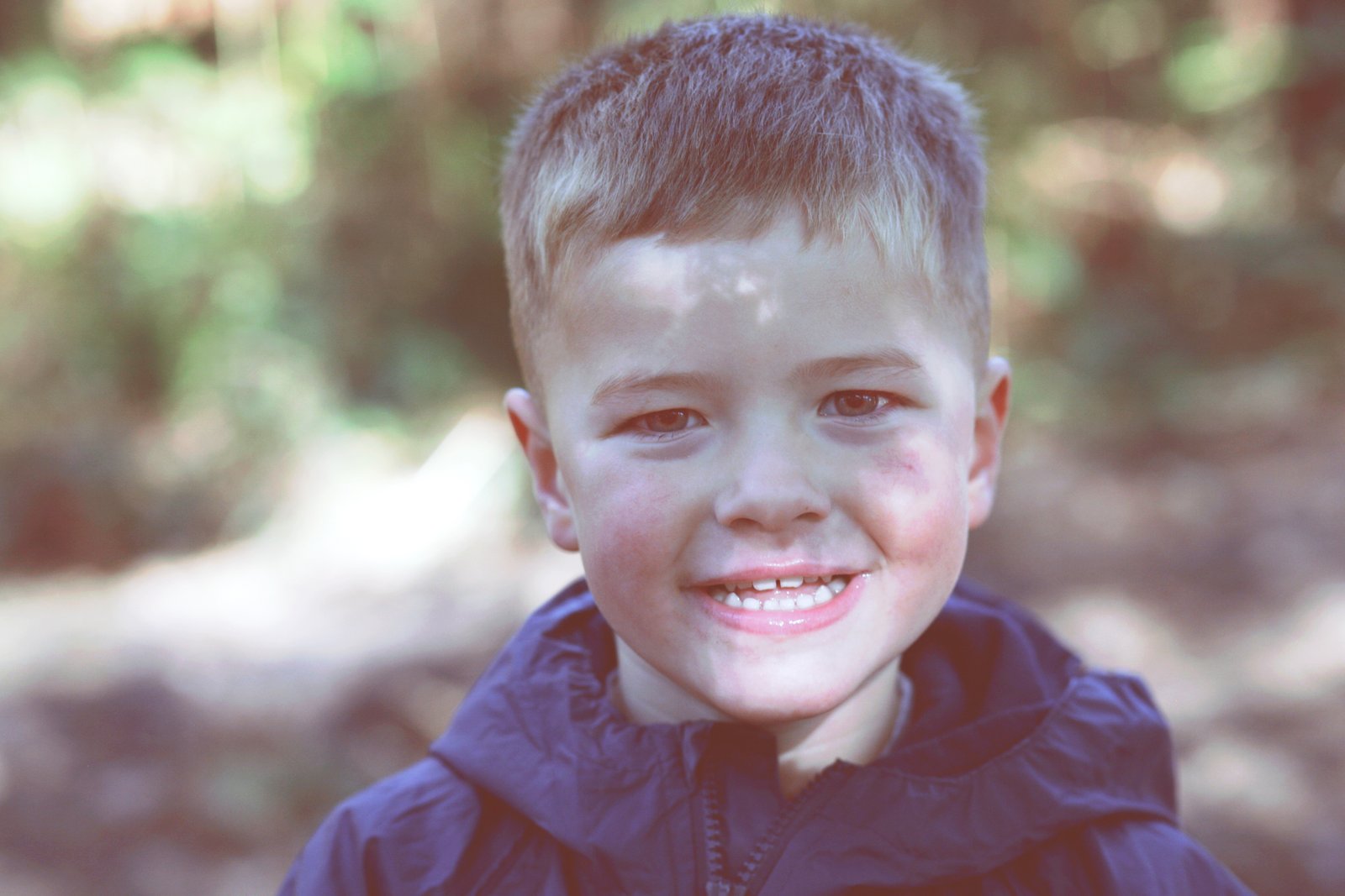 young child outdoor portrait photo